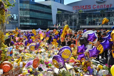 DSC_7201 (Large).JPG